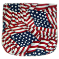 Steno Dust Cover (flag)